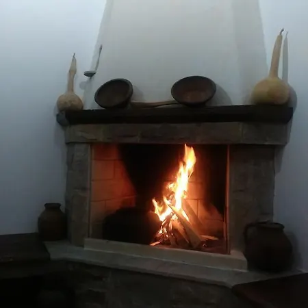 Guest house Koncheto 3*
